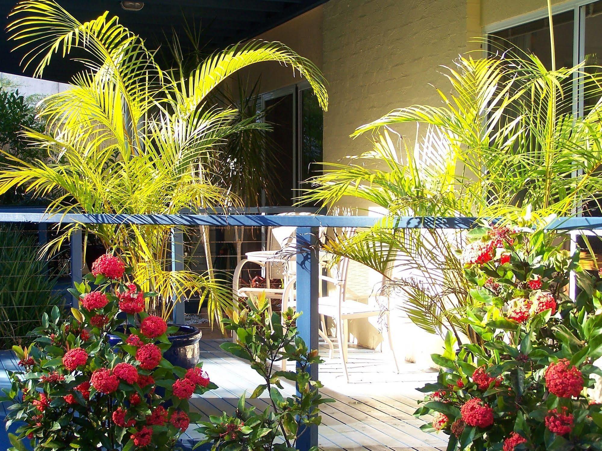 Azura Beach House B&B พอร์ตแมคควอรี ภายนอก รูปภาพ
